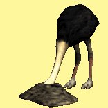 ostrich_headburried_lc.gif