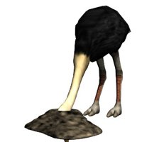 ostrich_headburried_hr.jpg