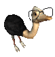 ostrich_glasses_geek_sc.gif