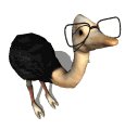 ostrich_glasses_geek_mw.gif