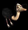 ostrich_glasses_geek_mb.gif