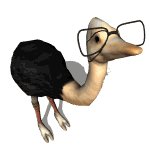 ostrich_glasses_geek_lw.gif