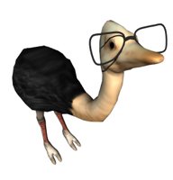 ostrich_glasses_geek_hr.jpg