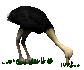 ostrich_fastfood_sc.gif