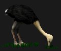 ostrich_fastfood_mc.gif