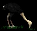ostrich_fastfood_mb.gif