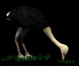 ostrich_fastfood_lb.gif