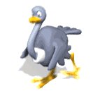 ostrich_cartoon_running_lw.gif