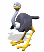 ostrich_cartoon_blink_a_lw.gif