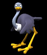 ostrich_cartoon_blink_a_lc.gif