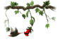 hummingbird_and_flower_sw.gif