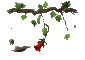hummingbird_and_flower_sc.gif