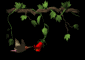 hummingbird_and_flower_sb.gif