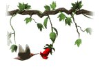 hummingbird_and_flower_mw.gif
