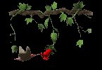 hummingbird_and_flower_mc.gif