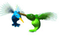 humming_birds_hovering_mw.gif