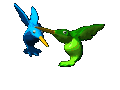 humming_birds_hovering_mc.gif