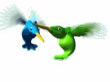 humming_birds_hovering_lw.gif