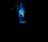 humming_bird_investig_a_tb.gif