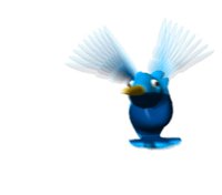humming_bird_investig_a_hr.jpg