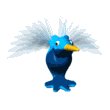 humming_bird_hovering_mw.gif
