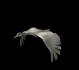 goose_fly2_sb.gif