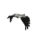 goose_fly1_sc.gif
