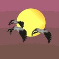 geese_wetlands_mc.gif