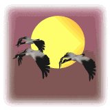 geese_wetlands_lw.gif