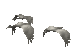 geese_fly2_sc.gif