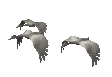 geese_fly2_mw.gif