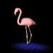 flamingo_stand_sb.gif