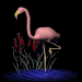 flamingo_nod_sb.gif