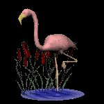 flamingo_nod_mc.gif