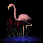 flamingo_nod_mb.gif