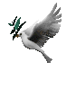 dove_with_olive_branch_sc.gif