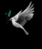 dove_with_olive_branch_sb.gif