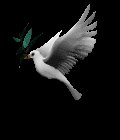dove_with_olive_branch_mc.gif