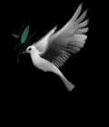 dove_with_olive_branch_mb.gif