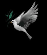 dove_with_olive_branch_lb.gif