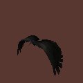 condor_fly_mc.gif