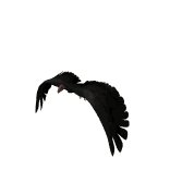 condor_fly_lw.gif