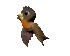 brown_parakeet_sc.gif