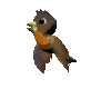 brown_parakeet_mc.gif