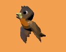brown_parakeet_lc.gif