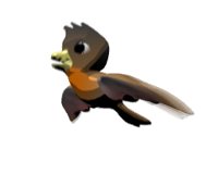 brown_parakeet_hr.jpg