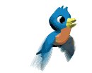 blue_parakeet_lw.gif