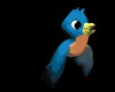 blue_parakeet_lb.gif