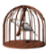bird_swinging_sw.gif