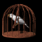 bird_swinging_sb.gif